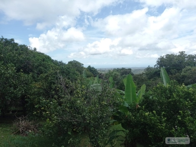 Country House In Laguna San Carlos Panama *Under Contract* - image 6