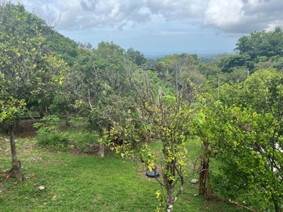 Country House In Laguna San Carlos Panama *Under Contract* - image 18