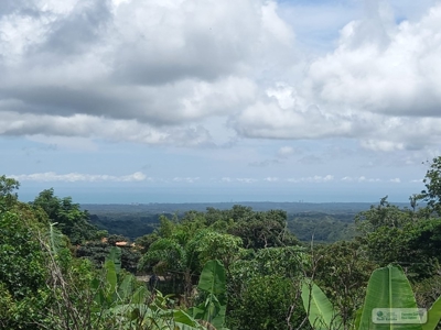 Country House In Laguna San Carlos Panama *Under Contract* - image 2