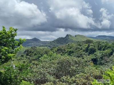 Country House In Laguna San Carlos Panama *Under Contract* - image 4