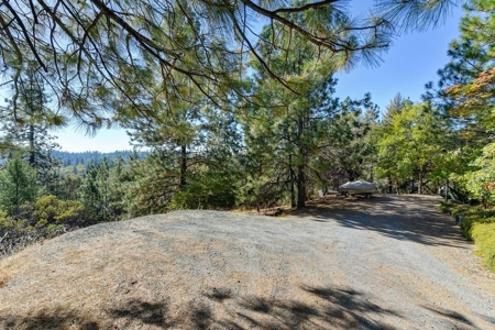 Northern California Country Property For Sale - image 4