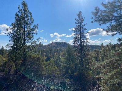 Northern California Country Property For Sale - image 8