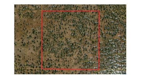 40+ Acres of Mountain Land for Sale in Westwood Ranches - image 1