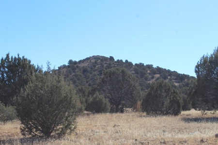 40+ Acres of Mountain Land for Sale in Westwood Ranches - image 6