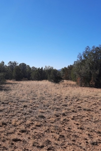 To Many Beautiful Spots To Choose From - image 21
