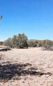 To Many Beautiful Spots To Choose From - image 20