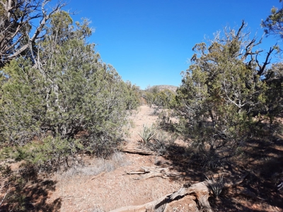 To Many Beautiful Spots To Choose From - image 5