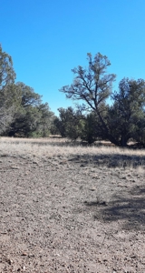 To Many Beautiful Spots To Choose From - image 19