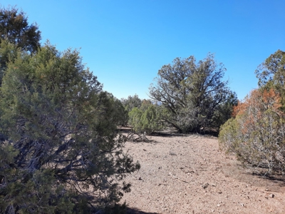 To Many Beautiful Spots To Choose From - image 25