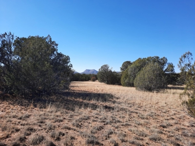 To Many Beautiful Spots To Choose From - image 13