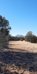 To Many Beautiful Spots To Choose From - image 11
