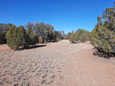 To Many Beautiful Spots To Choose From - image 4