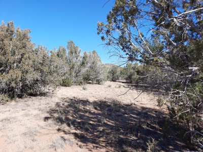To Many Beautiful Spots To Choose From - image 10