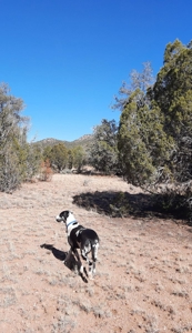 To Many Beautiful Spots To Choose From - image 24
