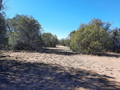 To Many Beautiful Spots To Choose From - image 14
