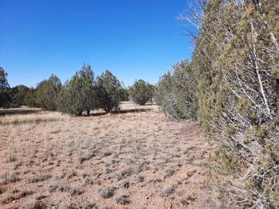To Many Beautiful Spots To Choose From - image 12