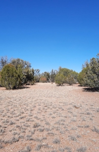 To Many Beautiful Spots To Choose From - image 26