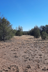 To Many Beautiful Spots To Choose From - image 15