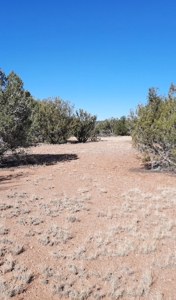 To Many Beautiful Spots To Choose From - image 22