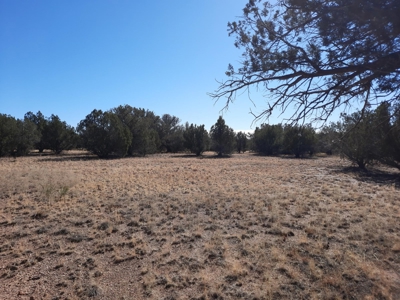 To Many Beautiful Spots To Choose From - image 28