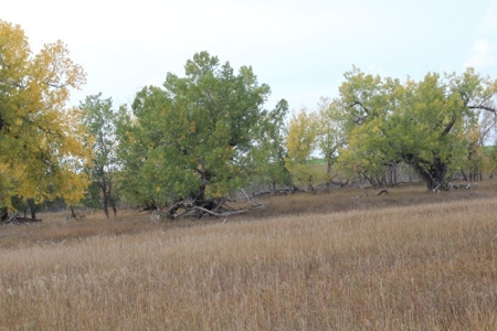 Sturgis Sd Riverfront Land For Sale 320+/- Acres - image 4