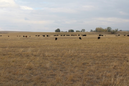 Sturgis Sd Riverfront Land For Sale 320+/- Acres - image 17