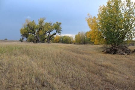 Sturgis Sd Riverfront Land For Sale 320+/- Acres - image 12