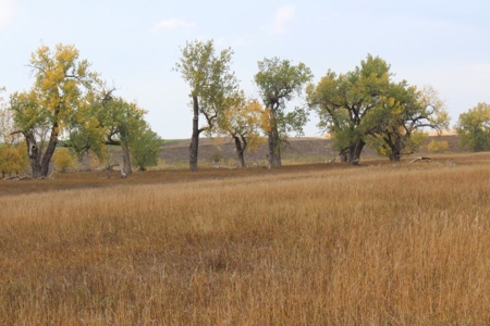 Sturgis Sd Riverfront Land For Sale 320+/- Acres - image 3