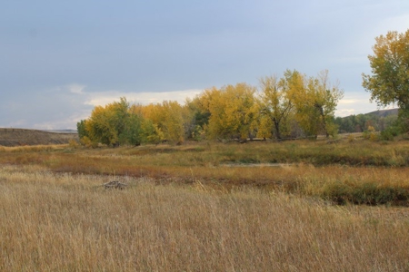 Sturgis Sd Riverfront Land For Sale 320+/- Acres - image 13