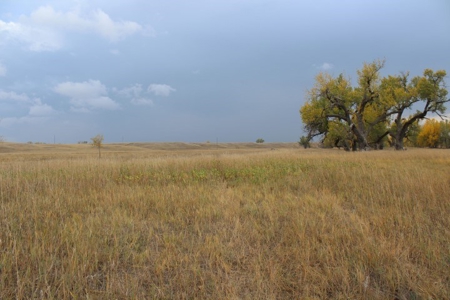 Sturgis Sd Riverfront Land For Sale 320+/- Acres - image 11