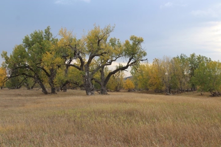 Sturgis Sd Riverfront Land For Sale 320+/- Acres - image 5