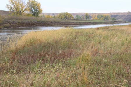 Sturgis Sd Riverfront Land For Sale 320+/- Acres - image 9