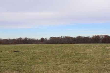 Missouri Land Auction - Fox Run Farms Tract 1 - image 6