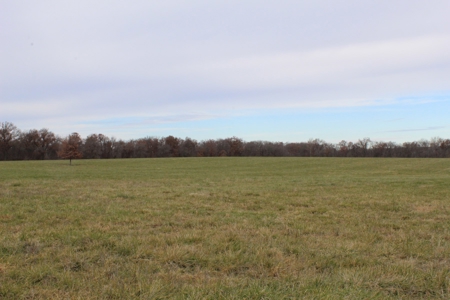 Missouri Land Auction - Fox Run Farms Tract 1 - image 5