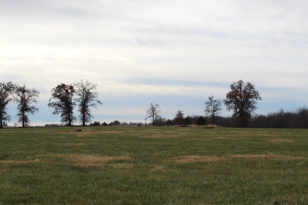 Missouri Land Auction - Fox Run Farms Tract 1 - image 13