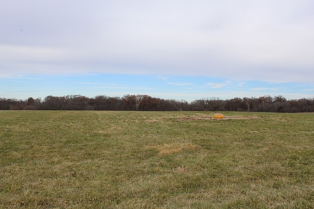 Missouri Land Auction - Fox Run Farms Tract 1 - image 10