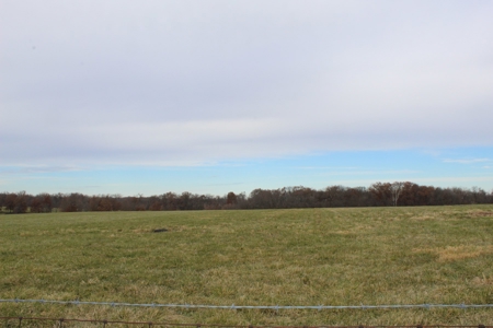 Missouri Land Auction - Fox Run Farms Tract 1 - image 7