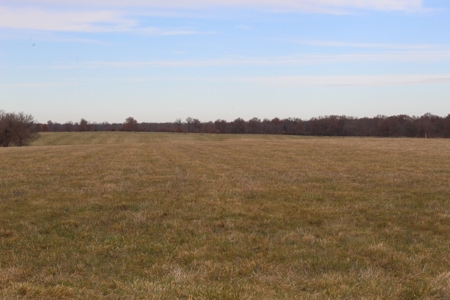 Missouri Land Auction - Fox Run Farms Tract 1 - image 18