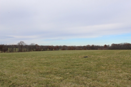 Missouri Land Auction - Fox Run Farms Tract 1 - image 9