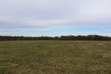Missouri Land Auction - Fox Run Farms Tract 1 - image 8