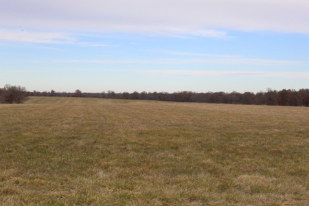 Missouri Land Auction - Fox Run Farms Tract 1 - image 14