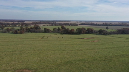 Missouri Land Auction - Fox Run Farms Tract 2 - image 13