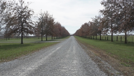 Missouri Land Auction - Fox Run Farms Tract 2 - image 2