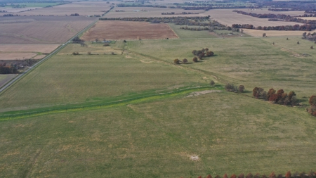 Missouri Land Auction - Fox Run Farms Tract 3 - image 4