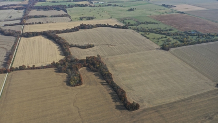 Missouri Land Auction - Fox Run Farms Tract 4 - image 6