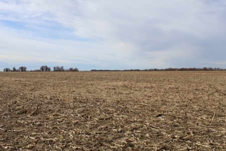 Missouri Land Auction - Fox Run Farms Tract 4 - image 12