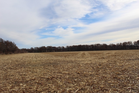 Missouri Land Auction - Fox Run Farms Tract 4 - image 8