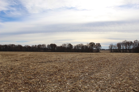 Missouri Land Auction - Fox Run Farms Tract 4 - image 9