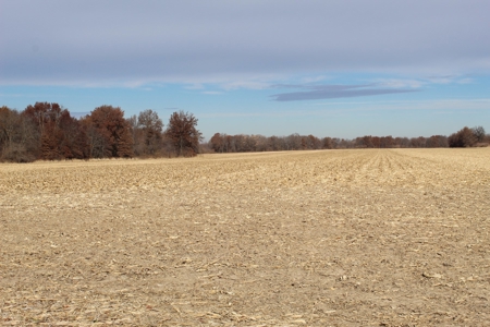 Missouri Land Auction - Fox Run Farms Tract 4 - image 17