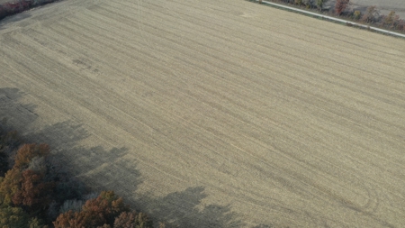 Missouri Land Auction - Fox Run Farms Tract 4 - image 5